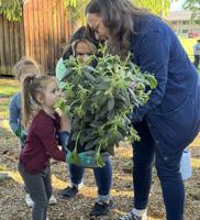 Earth Day event celebrates nature and starts a Memory Garden