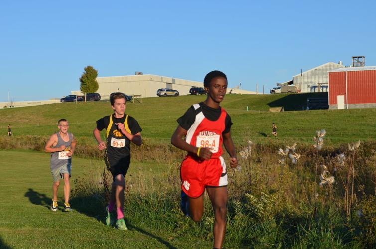 Cross country championships: 'This is proper running', Running