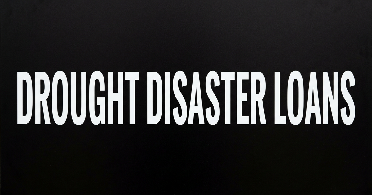 Small businesses face June 1 deadline for federal drought disaster loans