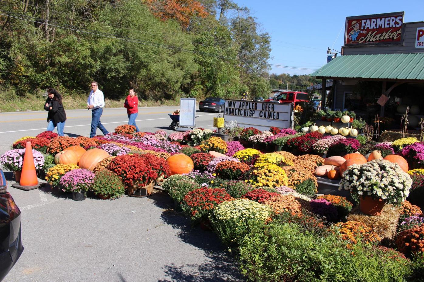 Bridgeport, WV's Plant the Seed offers various fresh, unique and local