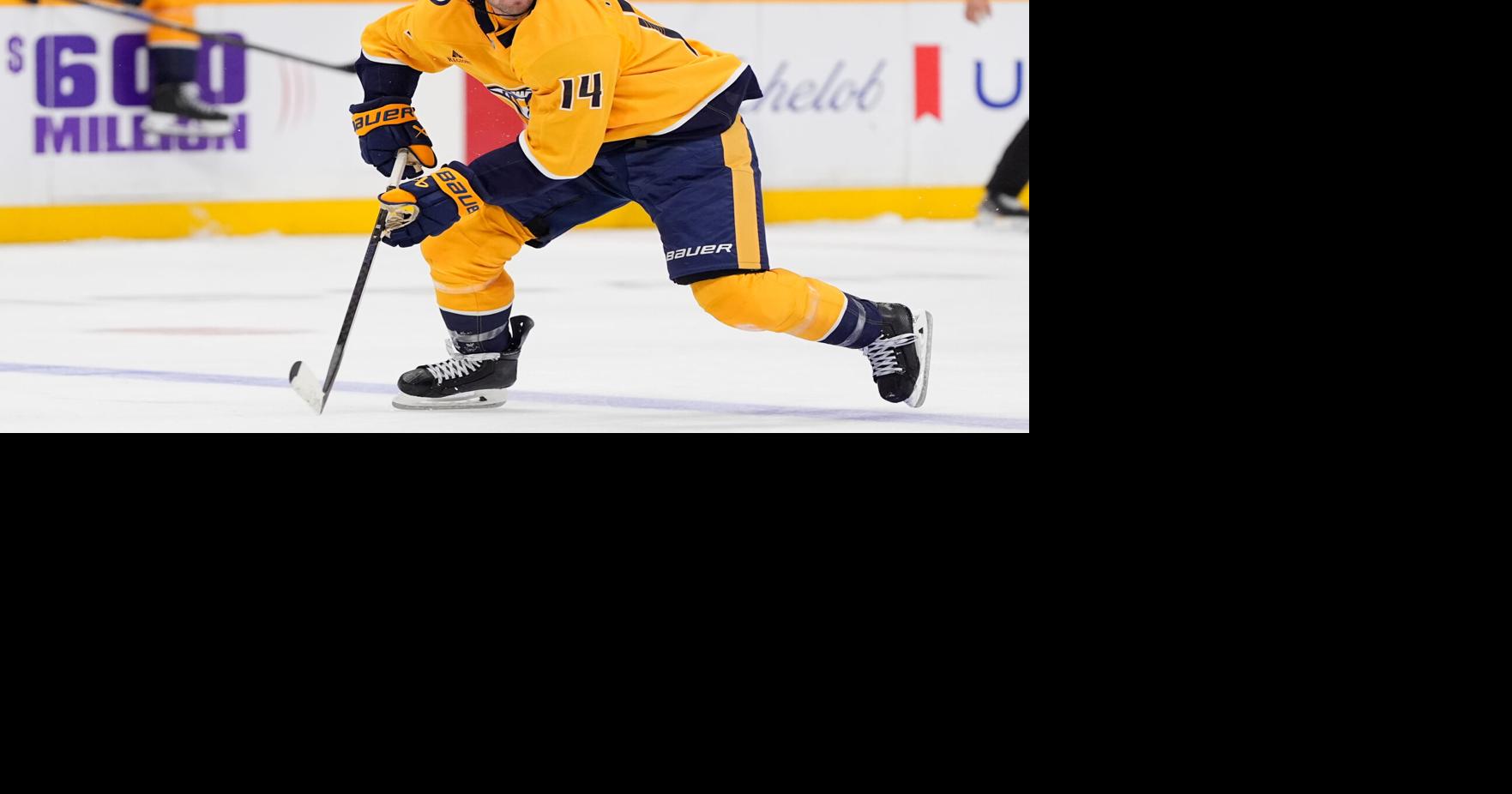 Blues Predators Hockey