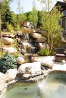 Beautiful landscaping can add a great pop of color with little maintenance to homes