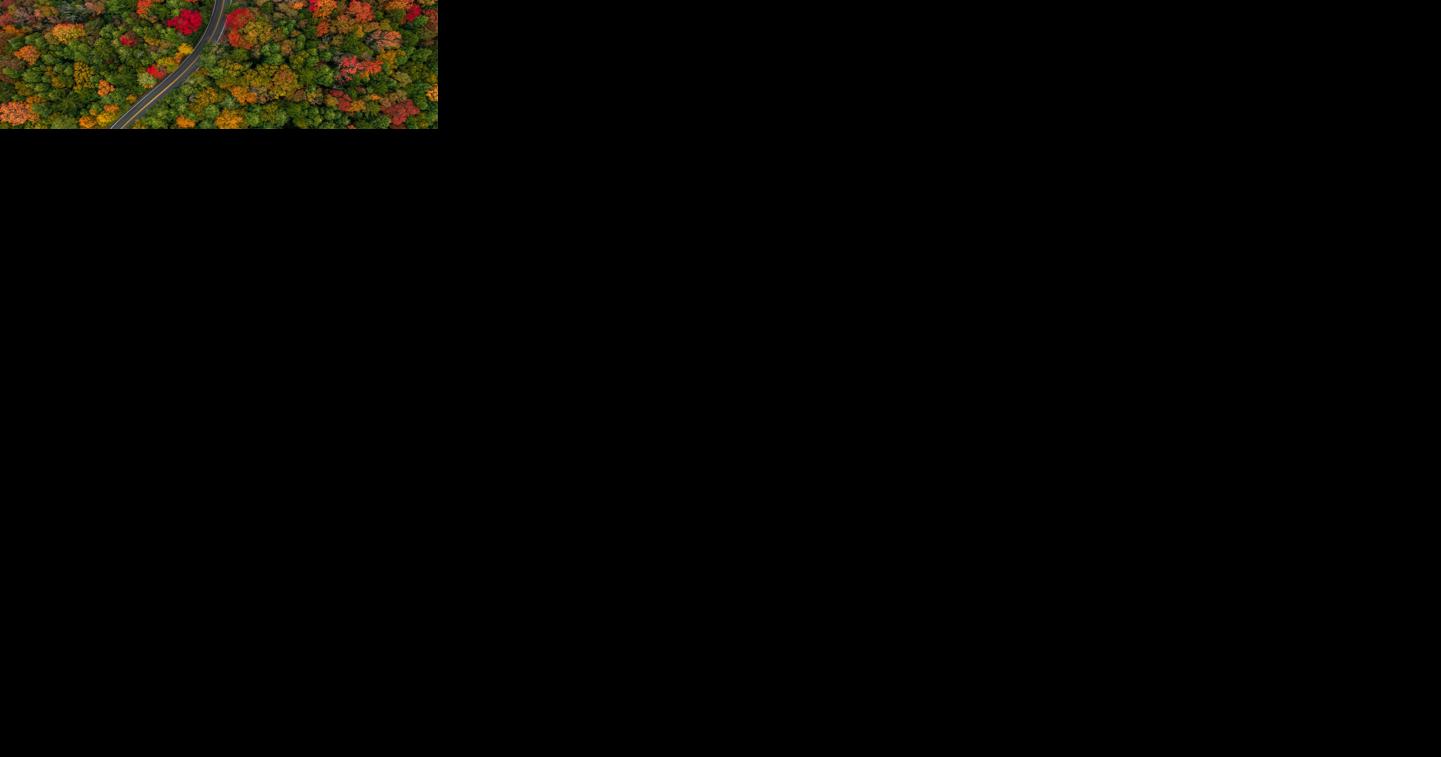 West Virginia Department of Tourism releases 2023 fall foliage map - Vimarsana News