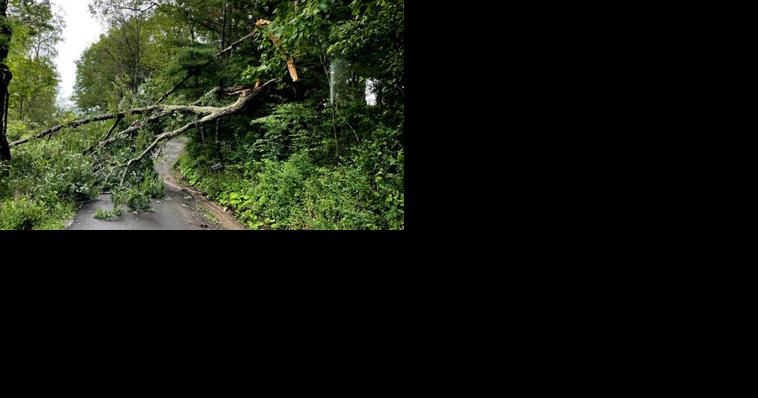 West Virginia Division of Highways personnel working to help with storm clean up - Vimarsana News
