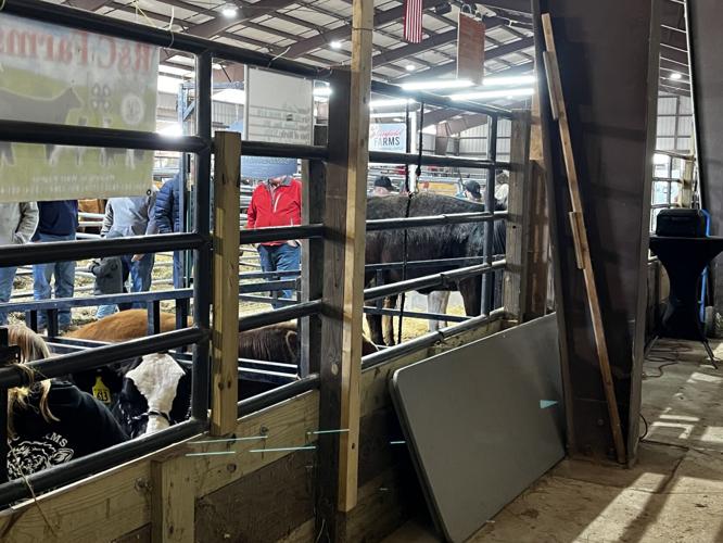 Jackson's Mill hosts 2024 West Virginia Beef Expo