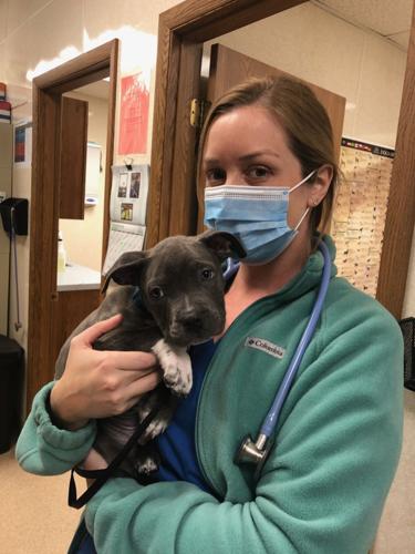 Dr. Jaclyn Warner continuing veterinary career at Audubon Animal Clinic (in  West Virginia) | Bridgeport News 