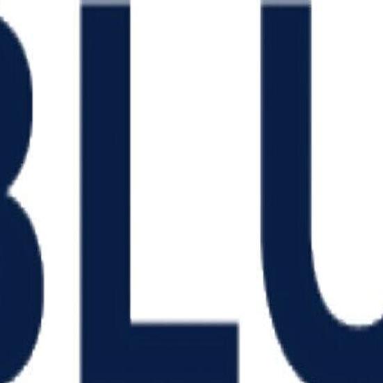 🟥 "Titoli in Rialzo e Calo: Blue Gold Limited Sorprende con un +297%!"