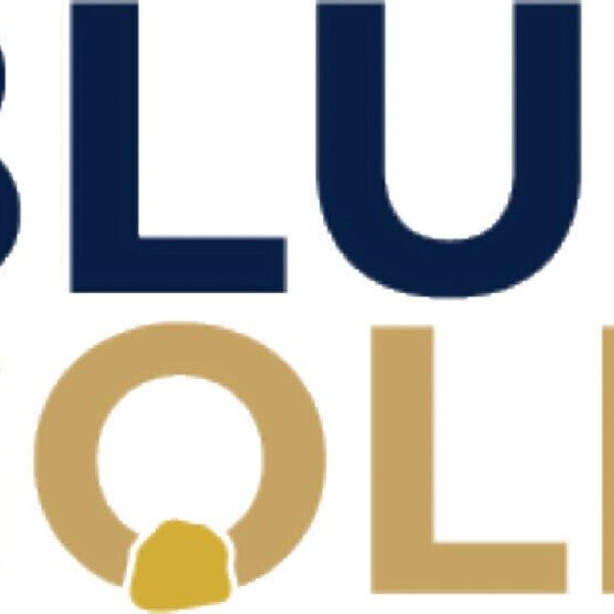 🟥 "Titoli in Rialzo e Calo: Blue Gold Limited Sorprende con un +297%!"