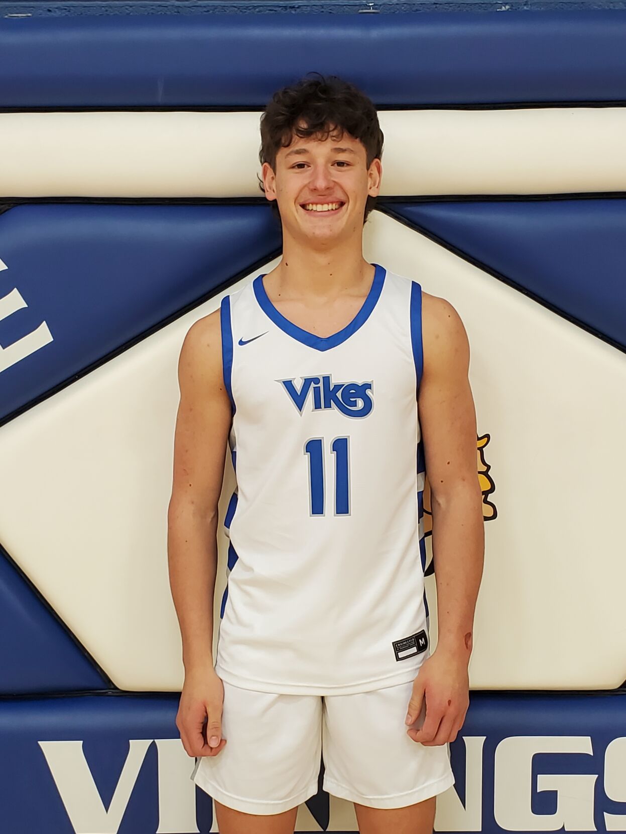 Johnson lands spot on Class AAA All-State team; Anderson, Casto and ...