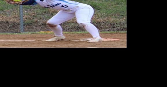 Frankfort softball goes 1-3 in two double-headers - Vimarsana News