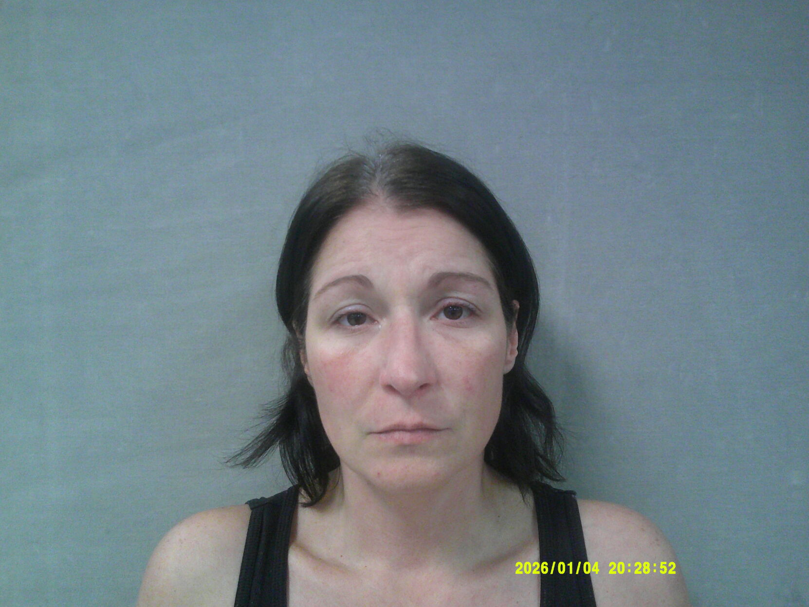 Weston woman arrested after discharging firearm during domestic dispute ...