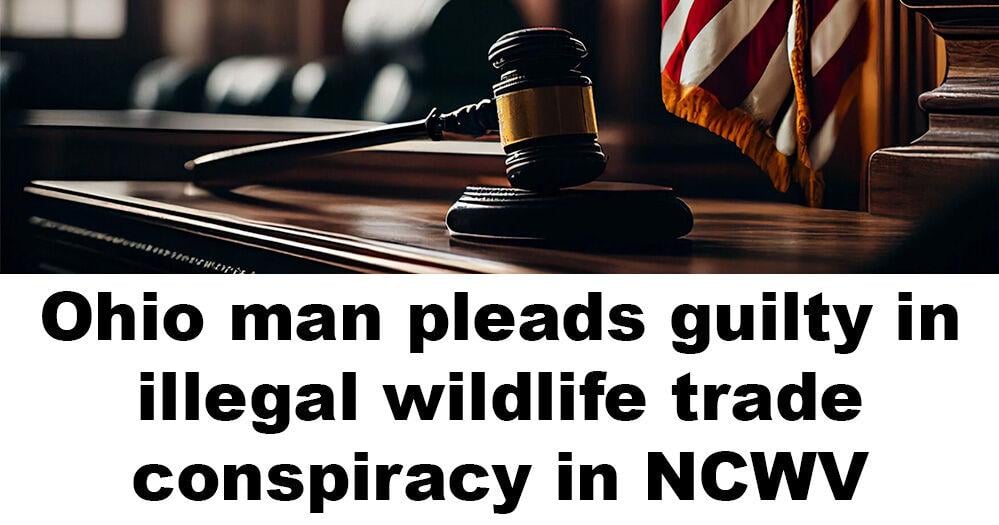 Ohio man pleads guilty in Clarksburg federal court to illegal deer trafficking conspiracy