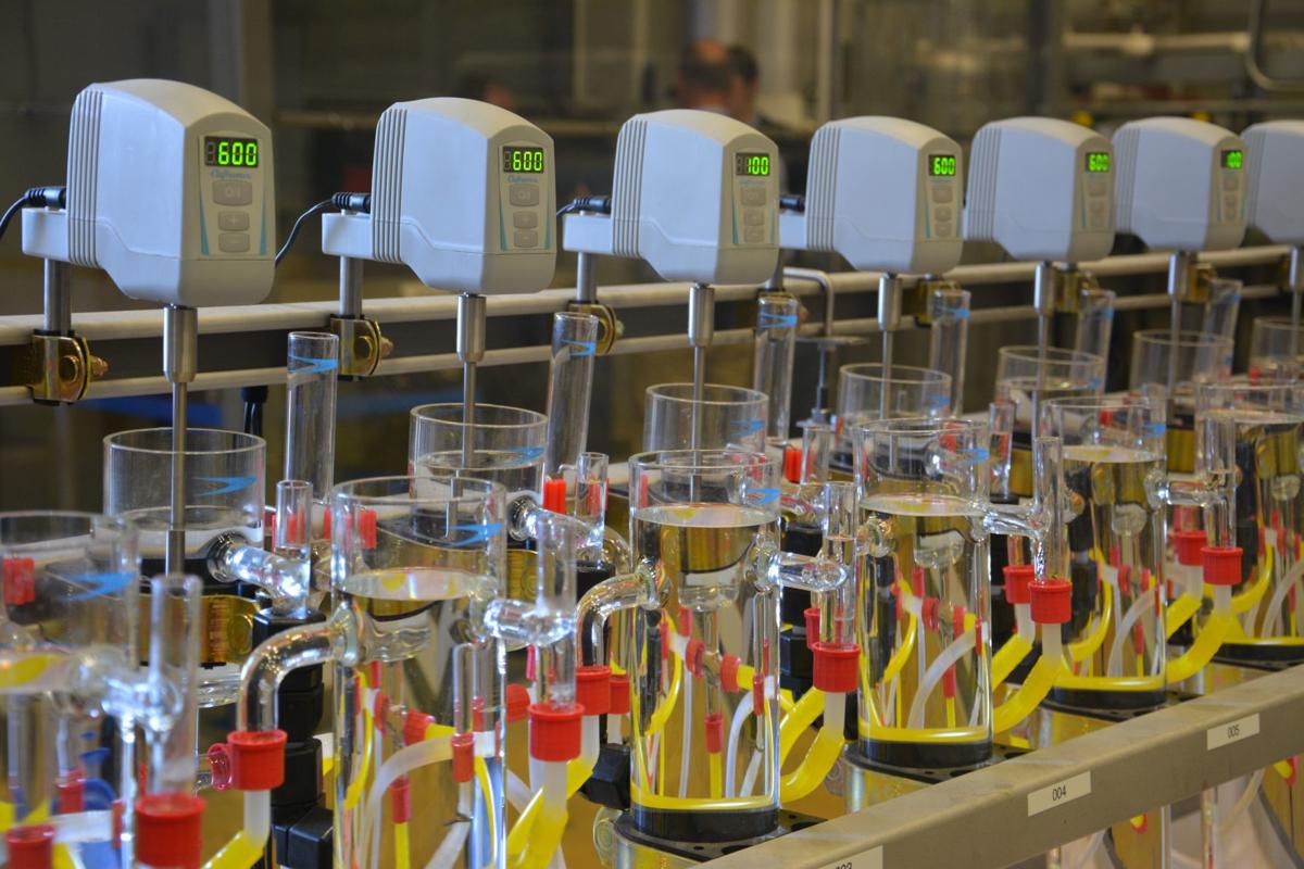 Rare earth element extraction facility unveiled on WVU's ...