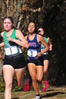 Berry, beary good: Liberty junior places 3rd in state meet, Fairmont Senior girls snare runner-up