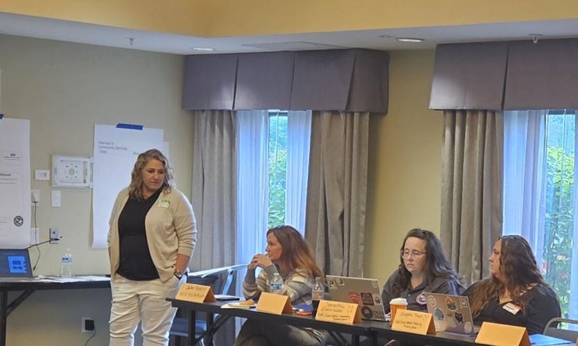 Lewis County leaders join SIM Mapping Initiative for recovery resources ...