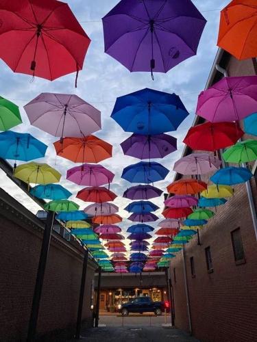 Weathering Life's Storms' campaign to benefit Cindy's Fund ...