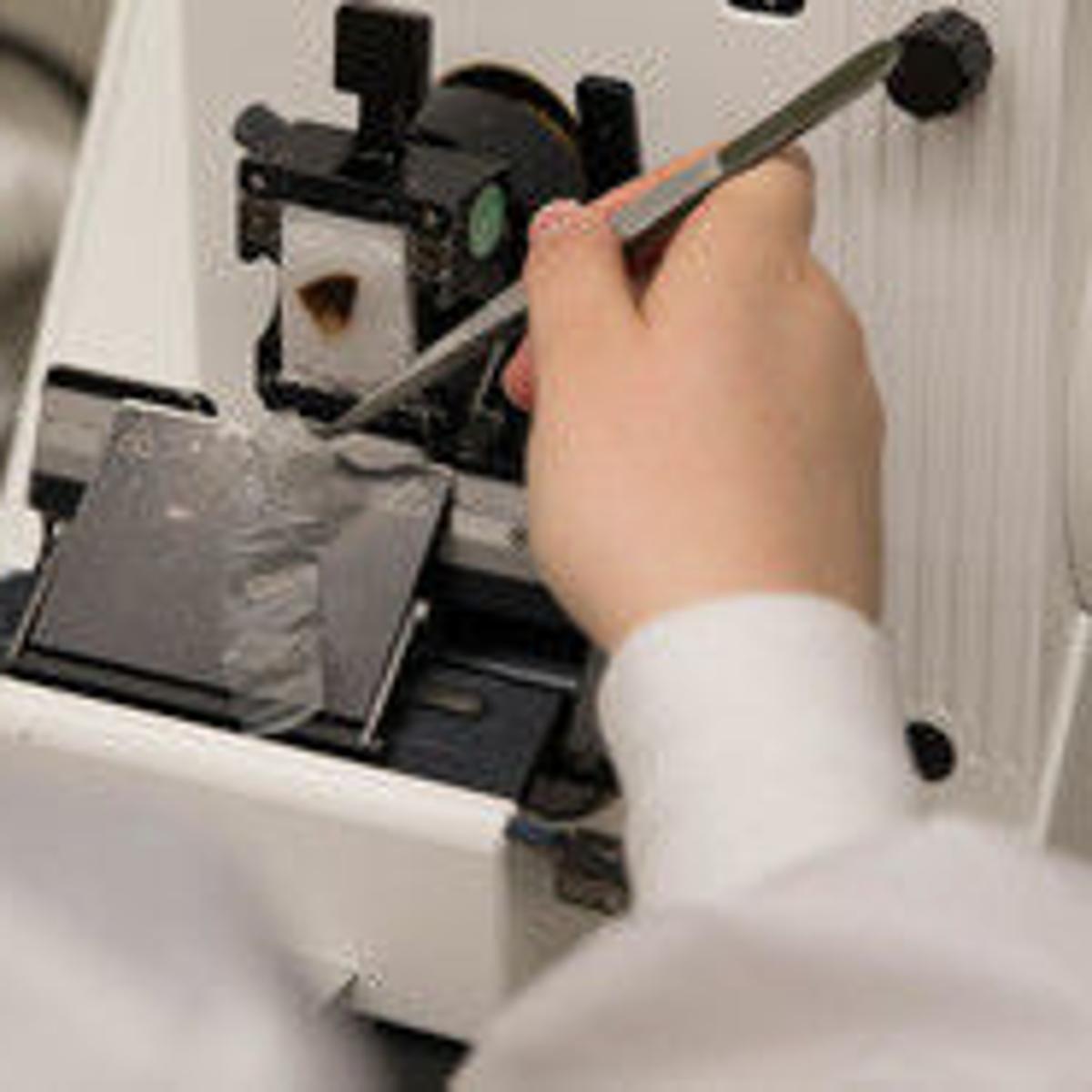 West Virginia University Histotechnology Scholarship Receives 100 000 Donation Wv News Wvnews Com wvu 2021 2022 calendar