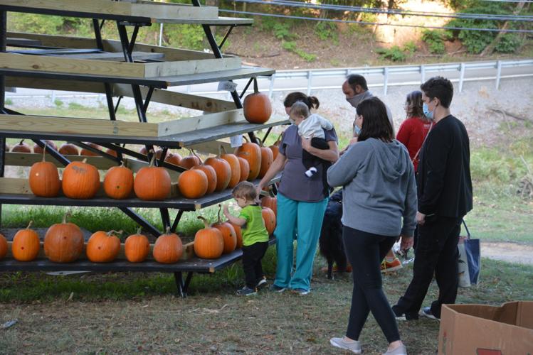 Pumpkin Farm at Saltwell reopens in Bridgeport, West Virginia, for family memories, seasonal fun