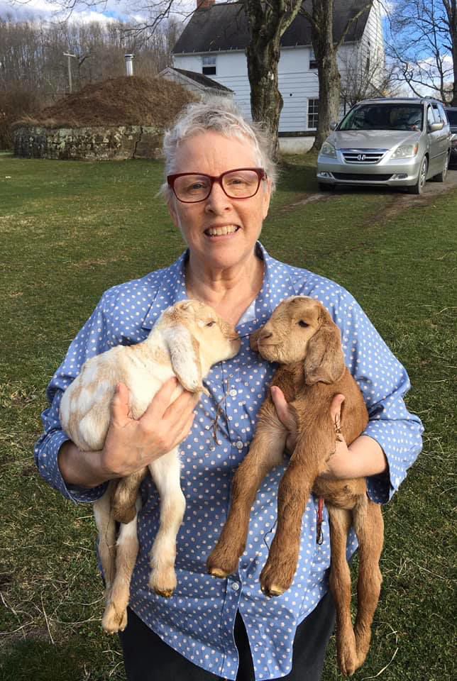 Goats are both a tourism attraction and a business in Arthurdale News