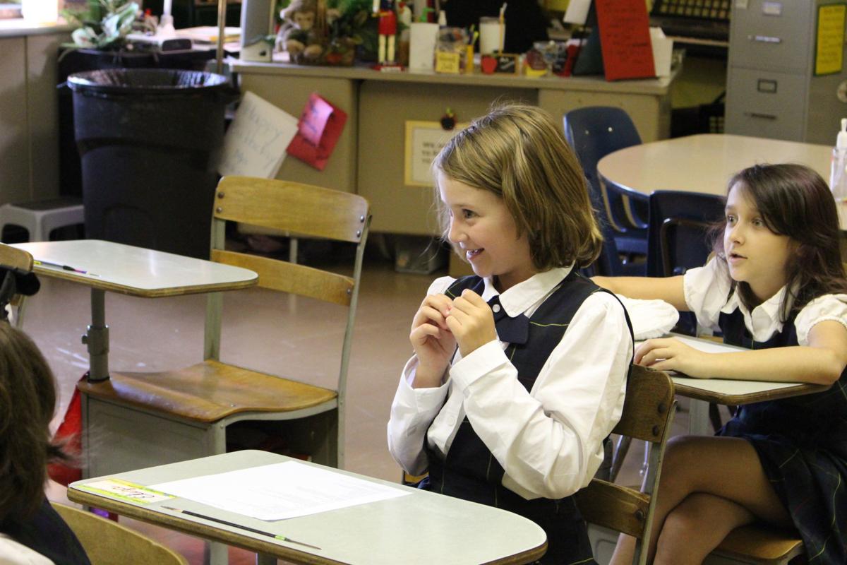 St Patrick School Plans Bat House Project News Wvnews St Patrick School Plans Bat House Project