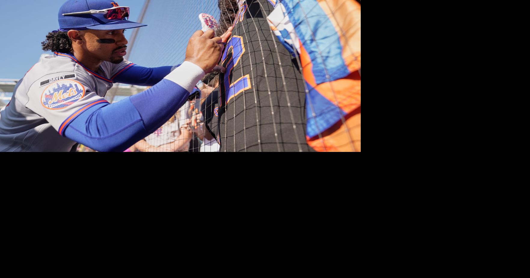 Mets Guardians Baseball