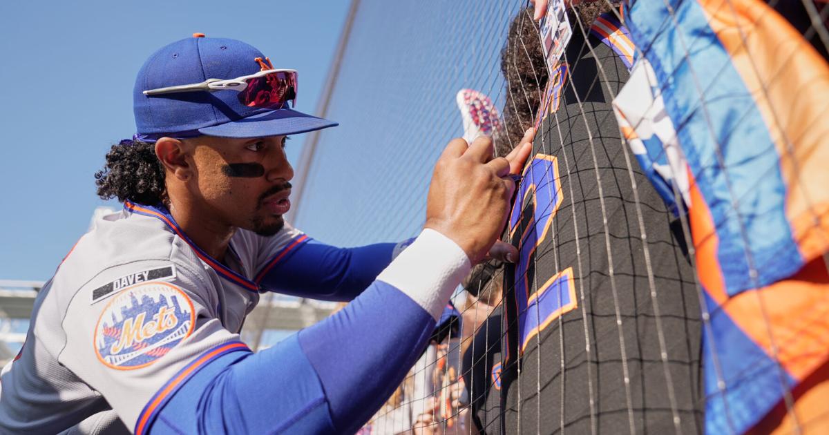 Mets Guardians Baseball