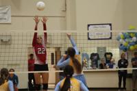 Wahama volleyball takes three of four sets from OVC Defenders ...