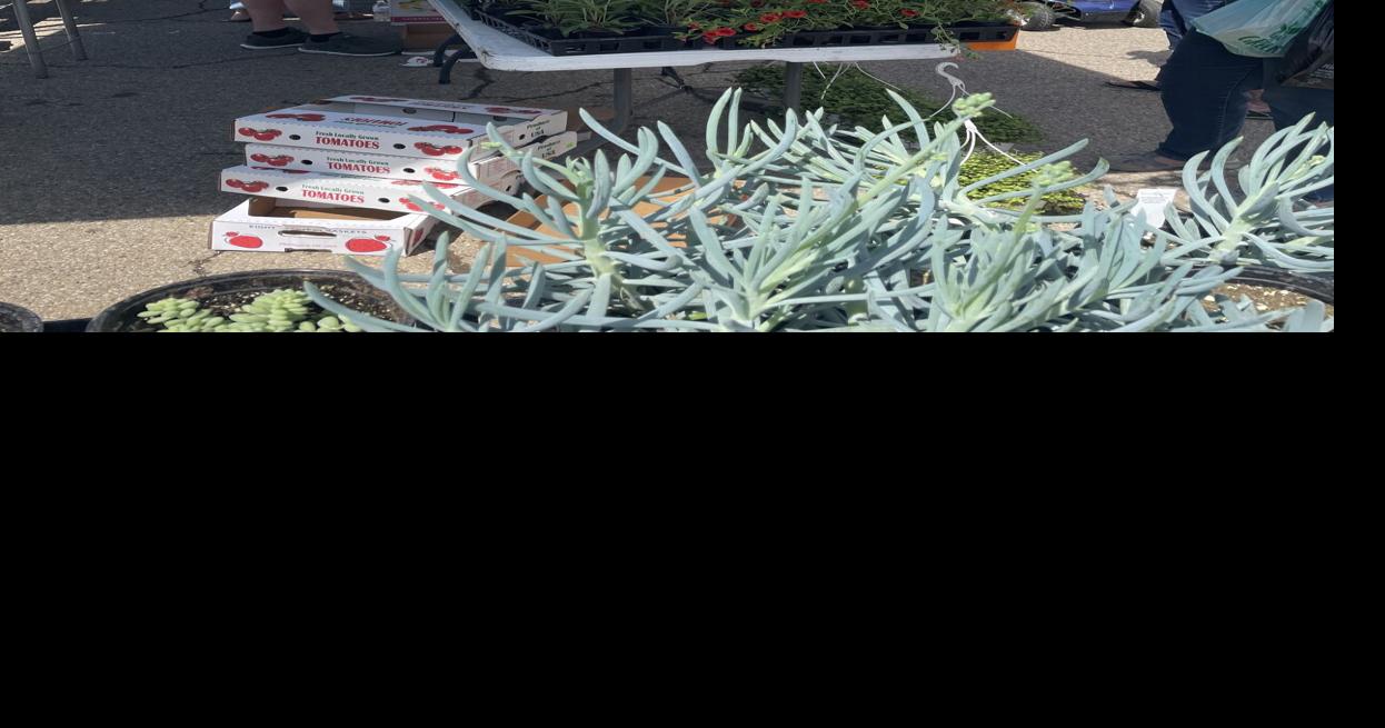 Meigs County (Ohio) Farmers Market draws large crowds Gallipolis