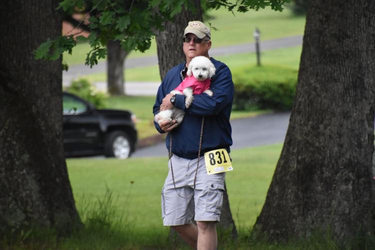 Arthurdale annual Goat Gallop held Preston County Lifestyles