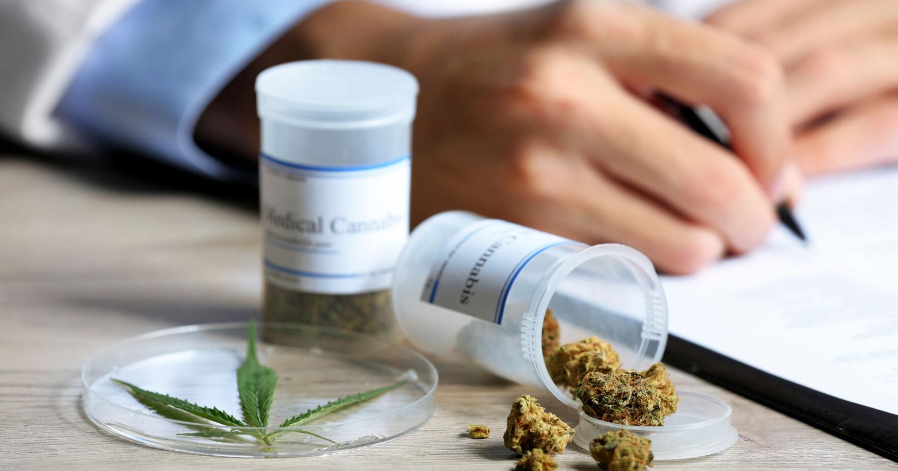 Judge indicates signals unlikely to revoke suspects for legitimate medical marijuana use - Vimarsana News