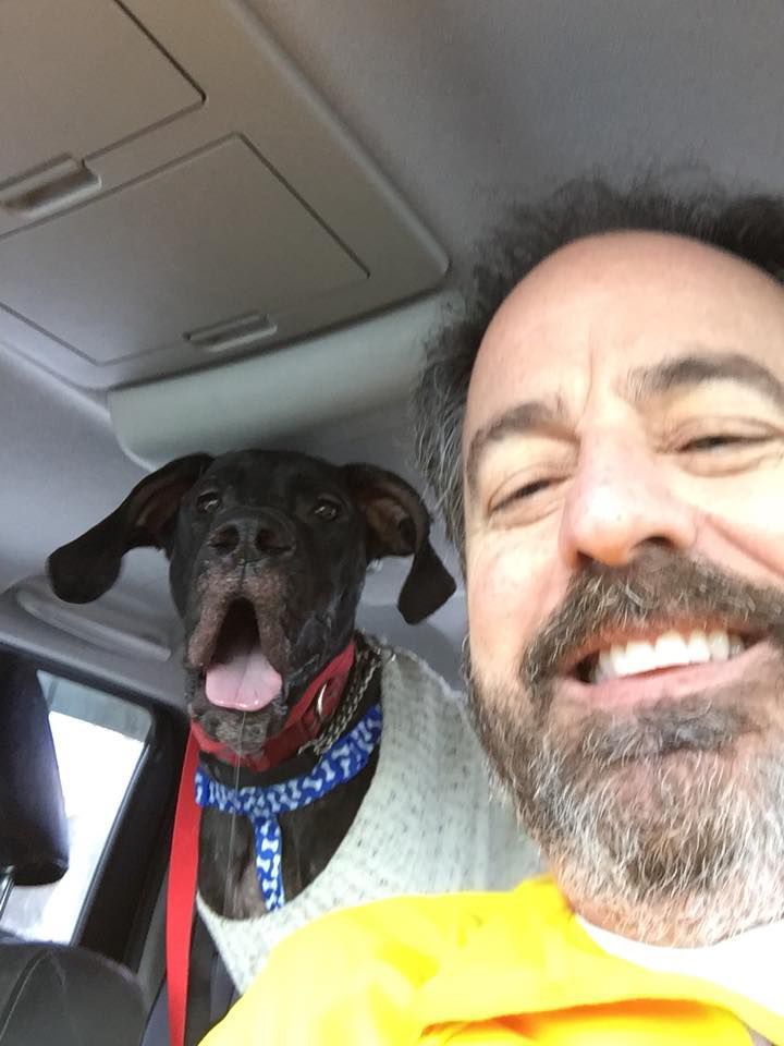 bridgeport animal shelter