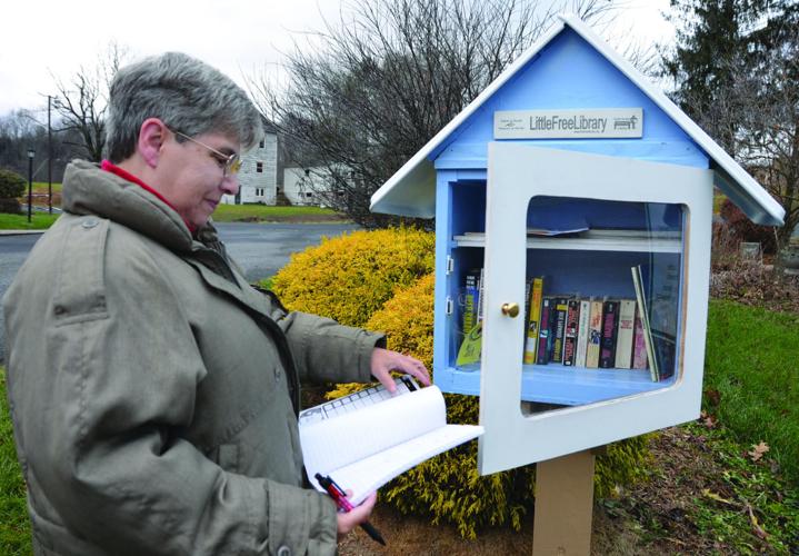 Little Free Libraries a big idea that connects people in communities ...