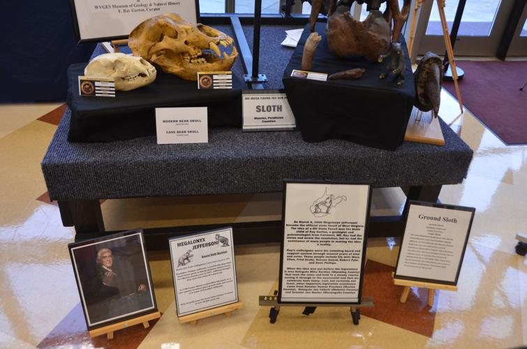 Students experience what life was like when dinosaurs were alive at