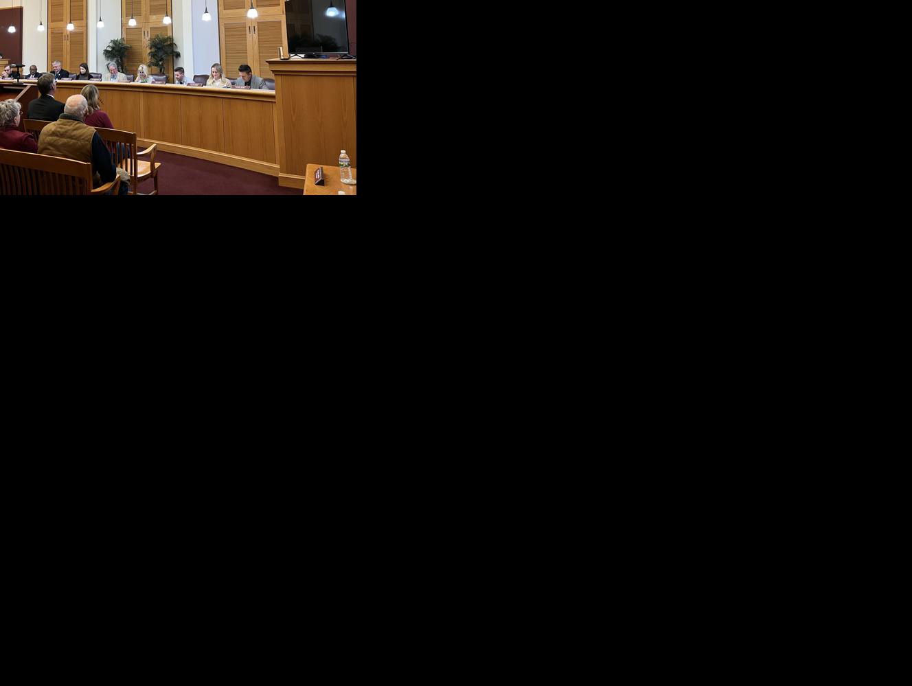 Clarksburg (West Virginia) City Council hears plan for largescale