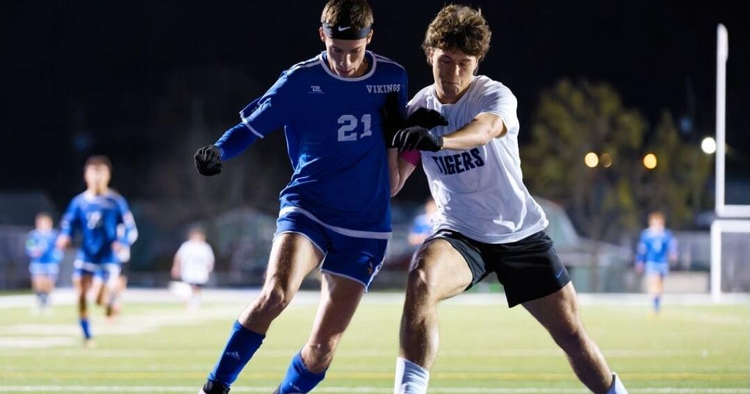 Viking boys' soccer team takes the next step toward State Tournament
