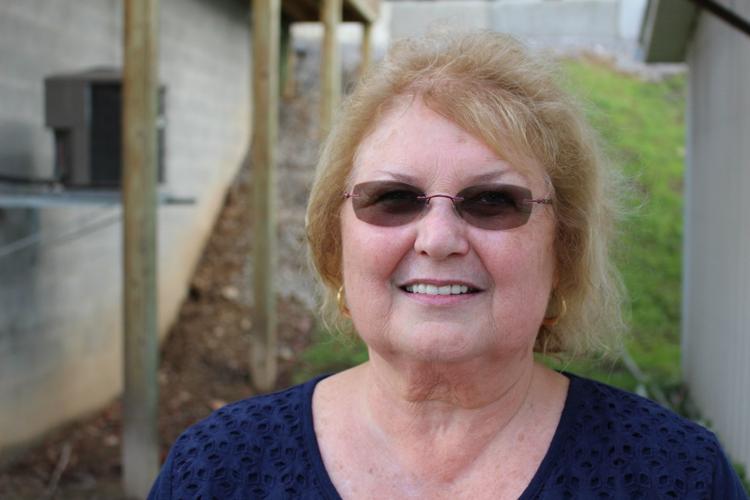 Jane Lew officials considering barriers to protect park from future