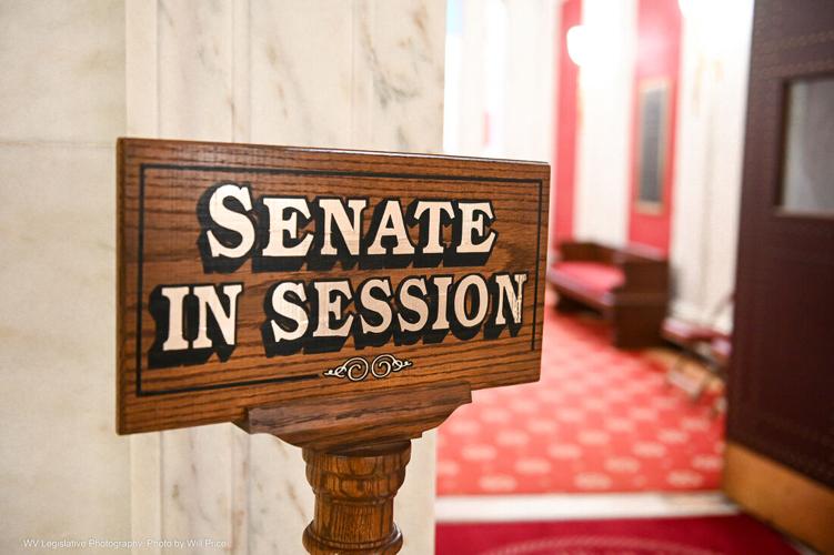 Senate in Session Sign