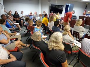 City of Ravenswood hosts McIntosh Memorial Park public forum