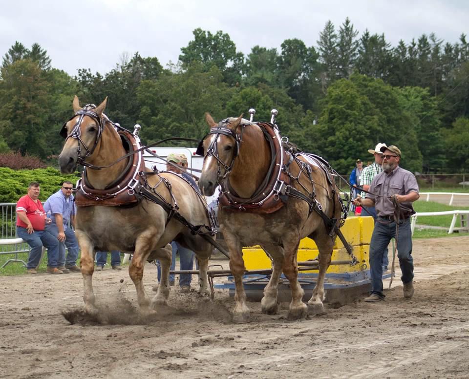 state-fair-of-wv-an-annual-tradition-for-95-years-featured-stories