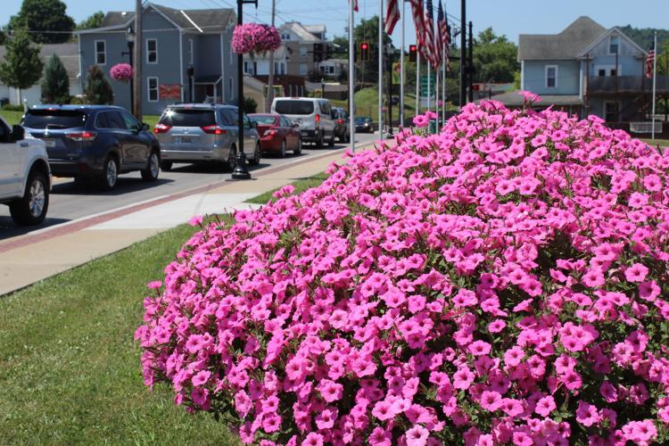 Bridgeport expands effort to beautify downtown with colorful flowers