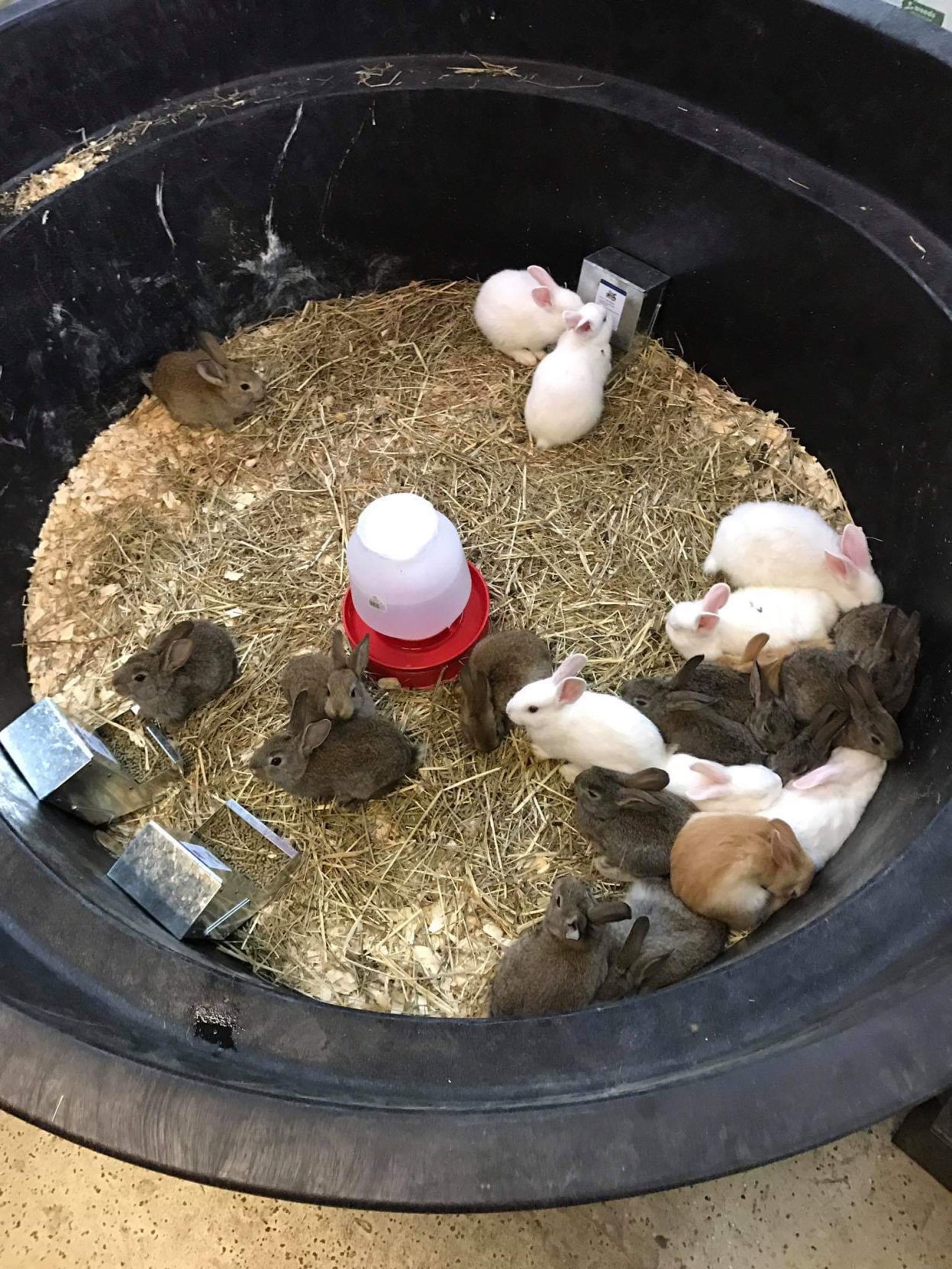 feed store for animals near me