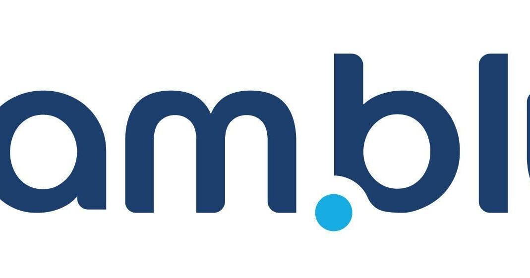 team.blue publica un nuevo estudio que revela que las pequeñas empresas en Europa quieren adoptar herramientas digitales y de IA, pero no saben por dónde empezar – WV News