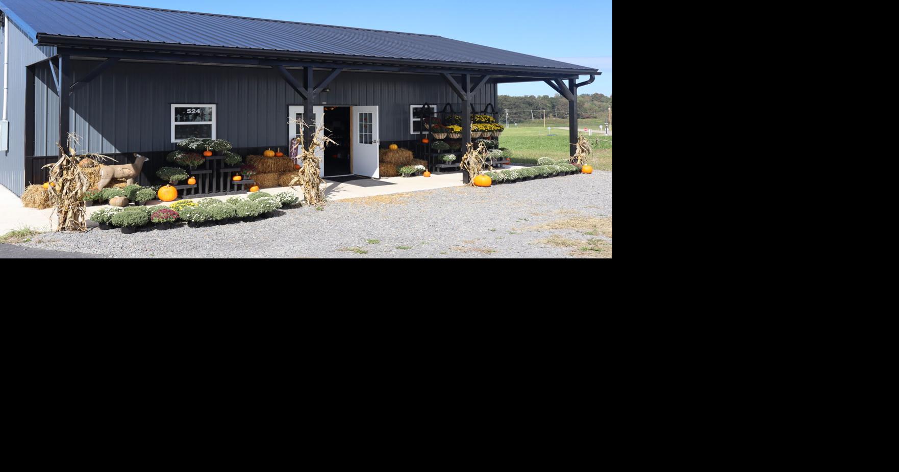 Preston High School’s CTE store expands opportunities for students ...
