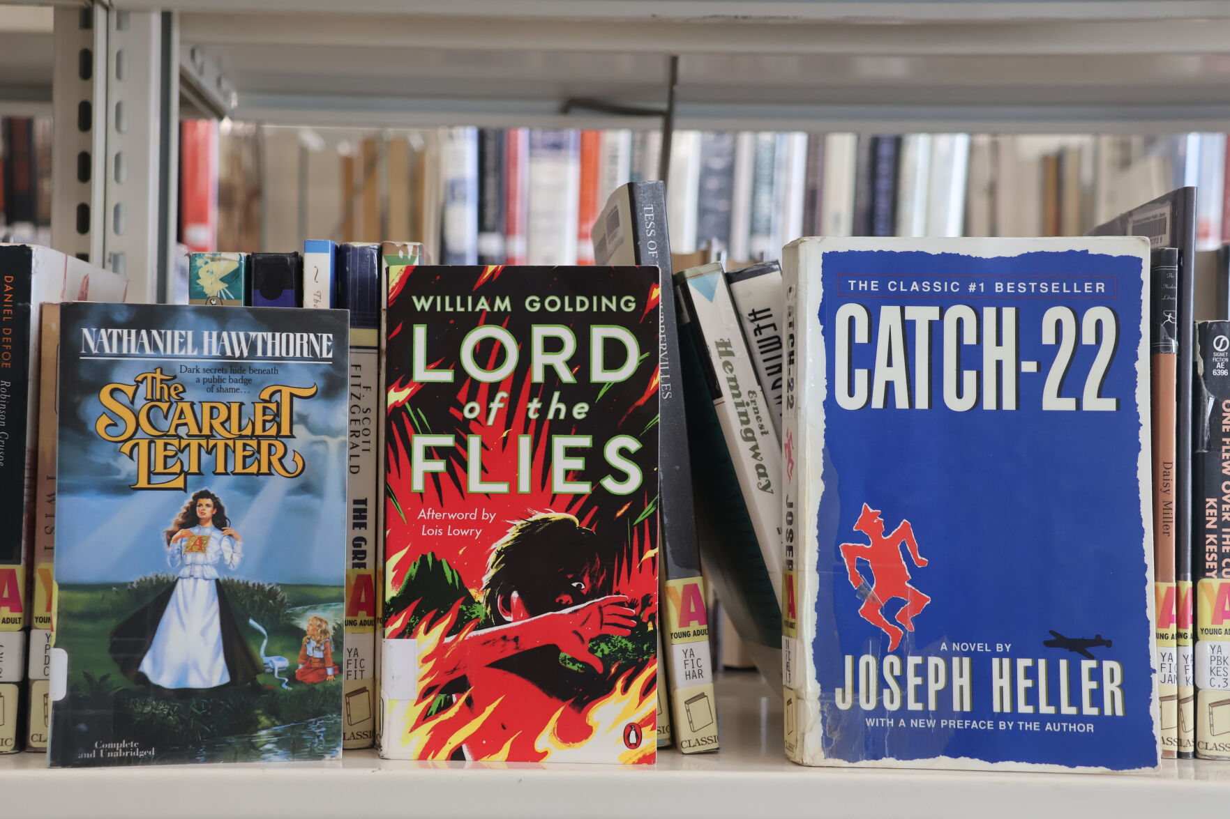 Local libraries, bookstores highlight freedom to read during Banned ...