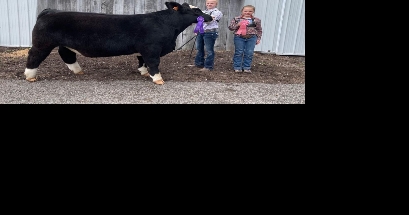 Beef Showman Winners 5008