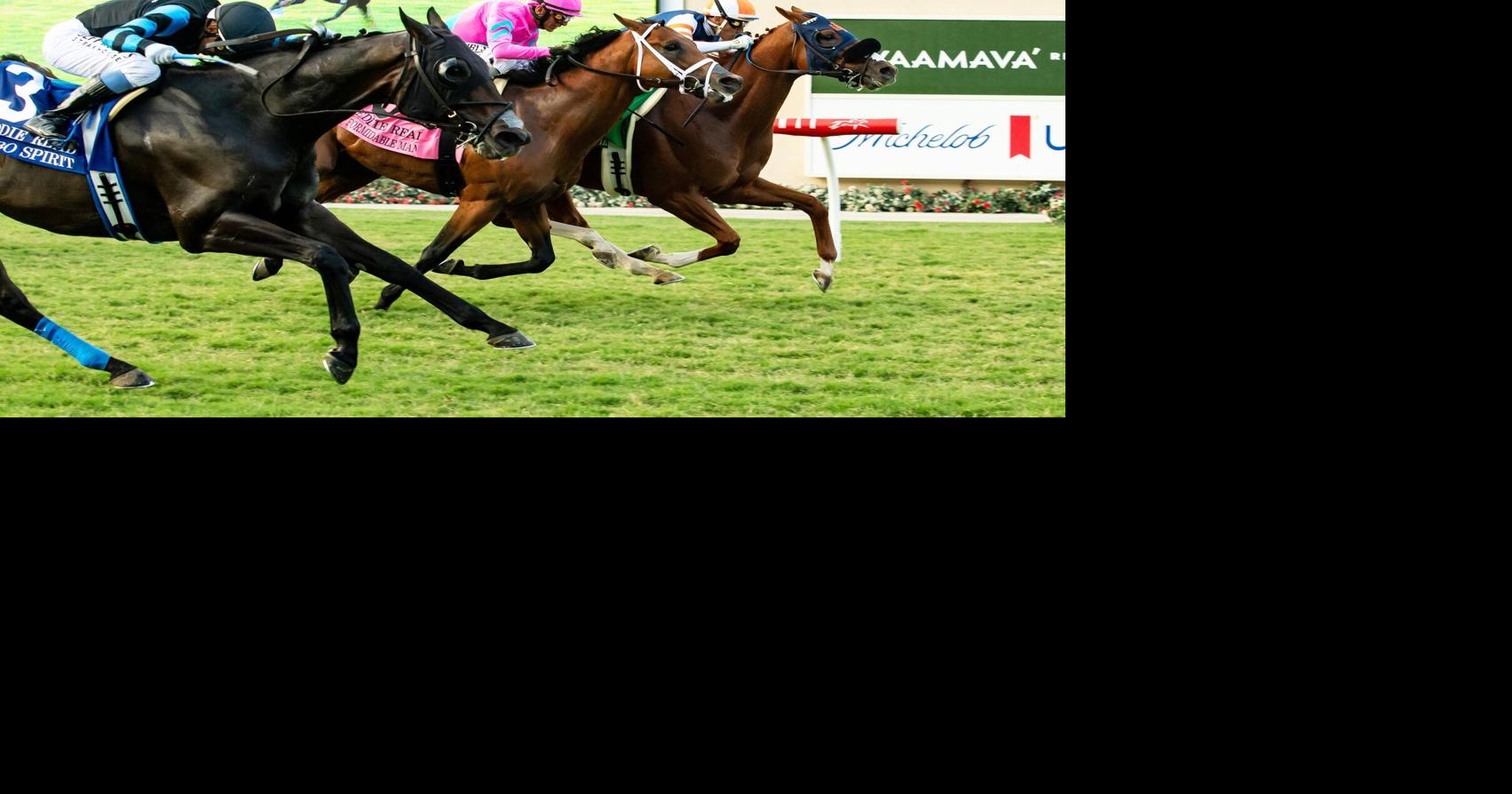 Del Mar Horse Racing