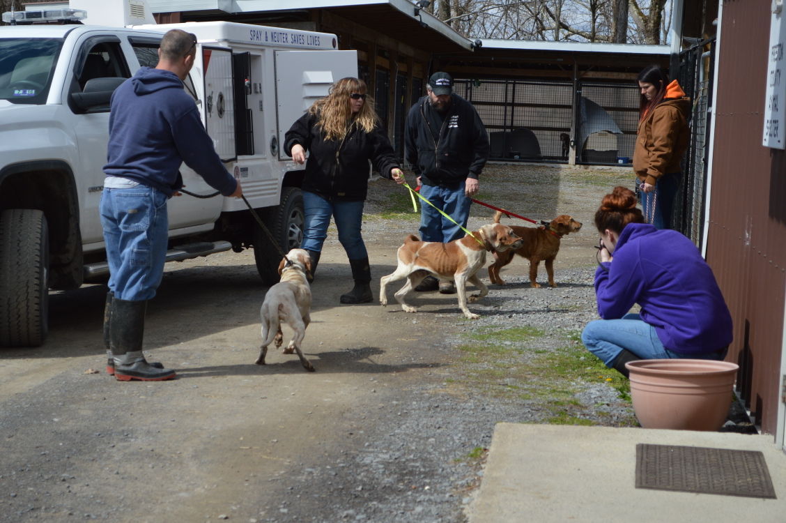 Preston county humane sales society wv