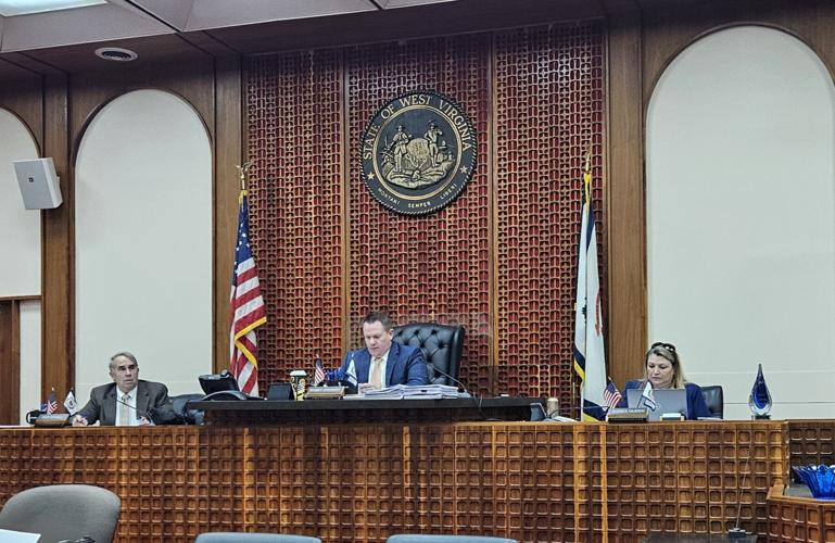 Lewis County Commission recognizes stalking, human trafficking ...
