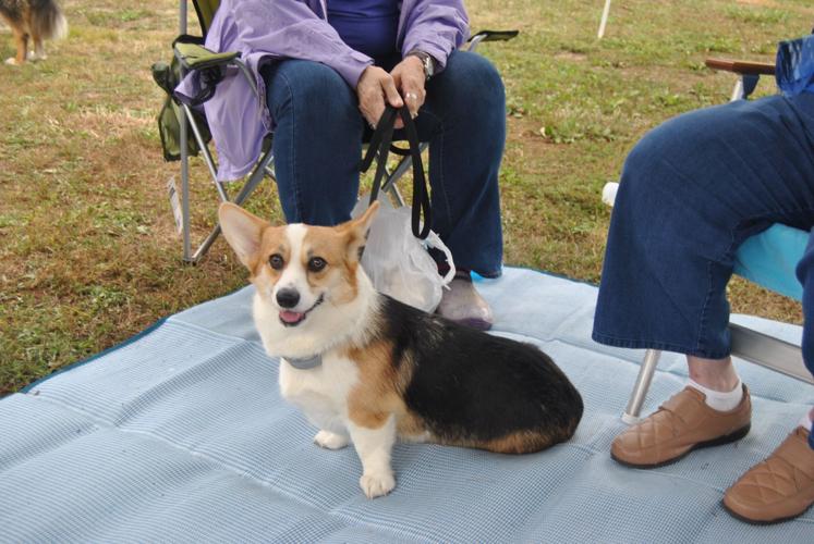 Greater Clarksburg Kennel Club holds "Responsible Dog Owner Day" and