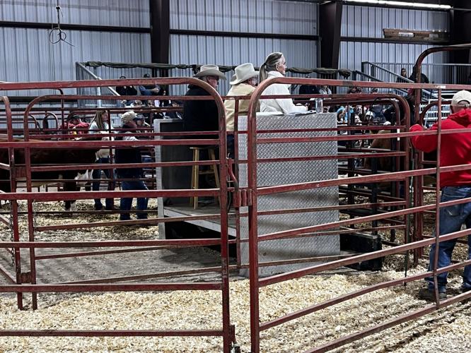 Jackson's Mill hosts 2024 West Virginia Beef Expo